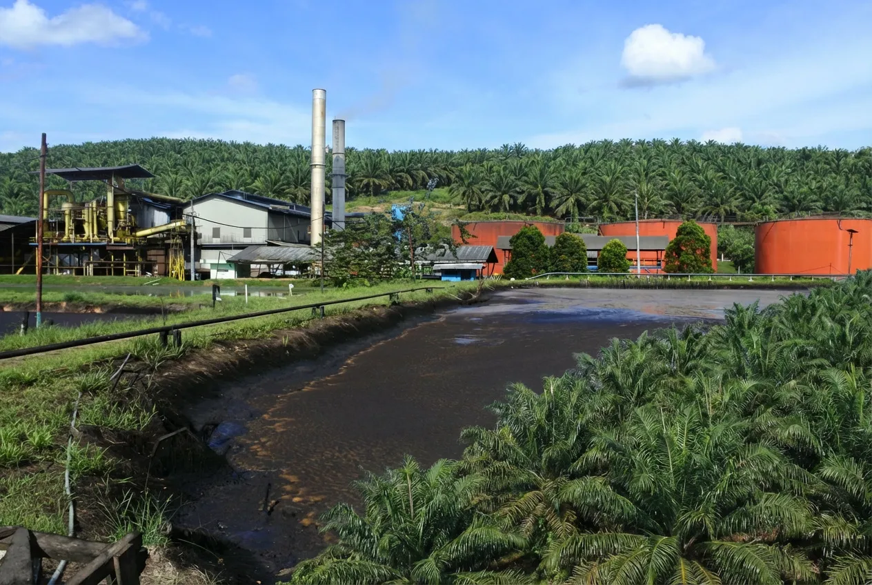 wastewater